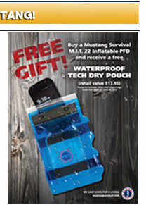 Mustang Rebate